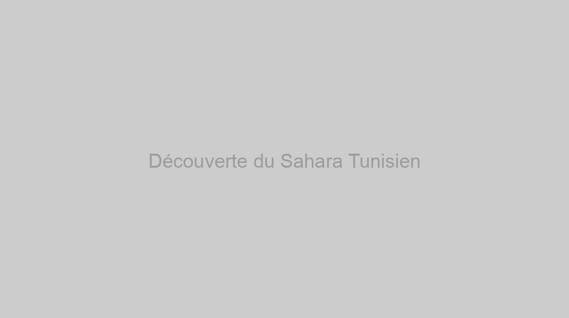 Découverte du Sahara Tunisien